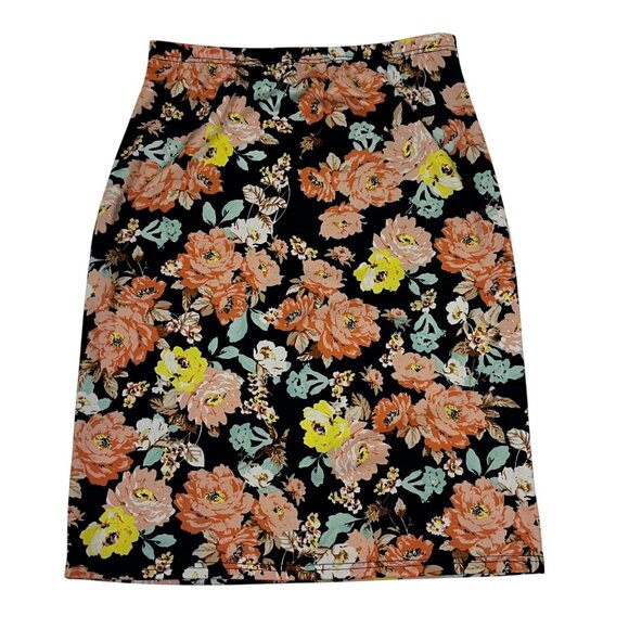 Nuggles skirt set women’s XL blue pink floral print long sleeve peplum blouse - Picture 3 of 11